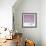 Cuba Fuerte Collection SQ - Pink Stillness-Philippe Hugonnard-Framed Photographic Print displayed on a wall