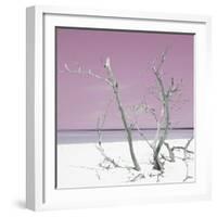 Cuba Fuerte Collection SQ - Pink Stillness-Philippe Hugonnard-Framed Photographic Print