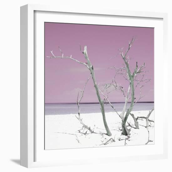 Cuba Fuerte Collection SQ - Pink Stillness-Philippe Hugonnard-Framed Photographic Print