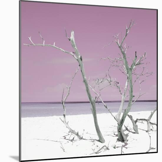 Cuba Fuerte Collection SQ - Pink Stillness-Philippe Hugonnard-Mounted Photographic Print