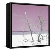 Cuba Fuerte Collection SQ - Pink Stillness-Philippe Hugonnard-Framed Stretched Canvas
