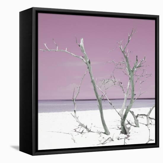 Cuba Fuerte Collection SQ - Pink Stillness-Philippe Hugonnard-Framed Stretched Canvas