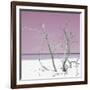 Cuba Fuerte Collection SQ - Pink Stillness-Philippe Hugonnard-Framed Photographic Print