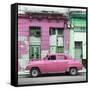 Cuba Fuerte Collection SQ - Pink Vintage American Car in Havana-Philippe Hugonnard-Framed Stretched Canvas