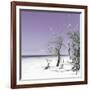 Cuba Fuerte Collection SQ - Plum Summer-Philippe Hugonnard-Framed Photographic Print