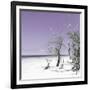 Cuba Fuerte Collection SQ - Plum Summer-Philippe Hugonnard-Framed Photographic Print