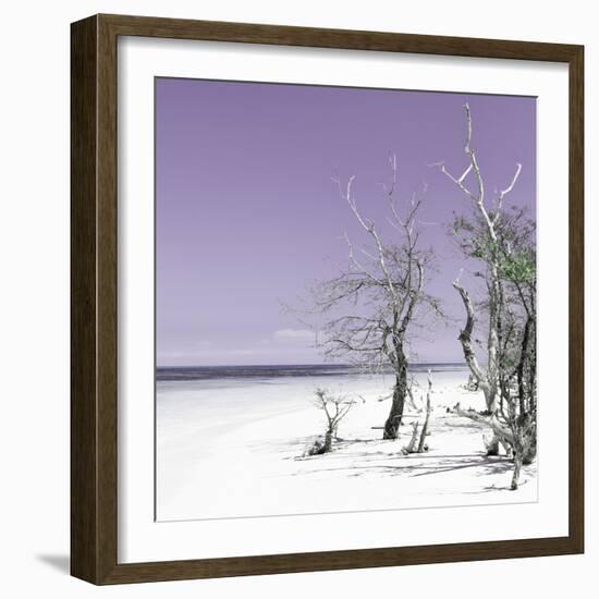 Cuba Fuerte Collection SQ - Plum Summer-Philippe Hugonnard-Framed Photographic Print