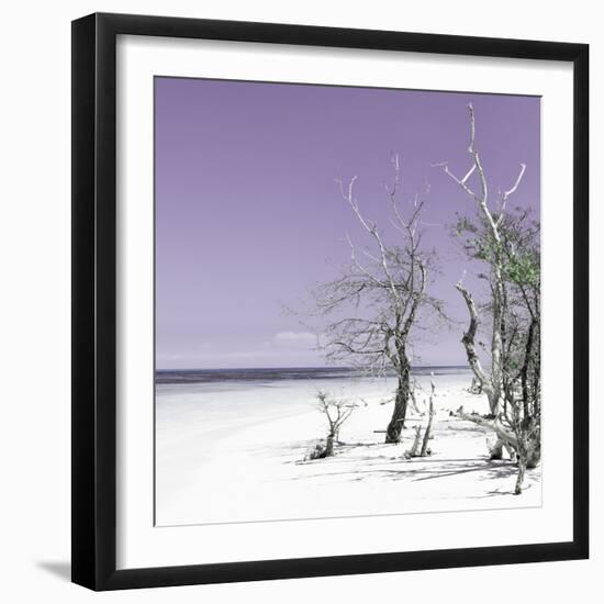 Cuba Fuerte Collection SQ - Plum Summer-Philippe Hugonnard-Framed Photographic Print