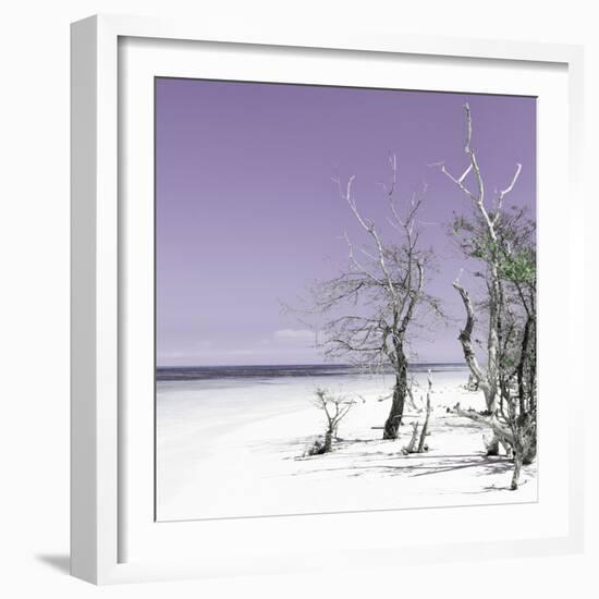 Cuba Fuerte Collection SQ - Plum Summer-Philippe Hugonnard-Framed Photographic Print