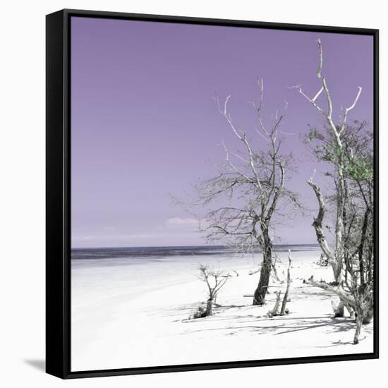 Cuba Fuerte Collection SQ - Plum Summer-Philippe Hugonnard-Framed Stretched Canvas