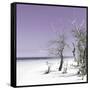 Cuba Fuerte Collection SQ - Plum Summer-Philippe Hugonnard-Framed Stretched Canvas