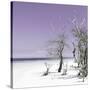 Cuba Fuerte Collection SQ - Plum Summer-Philippe Hugonnard-Stretched Canvas