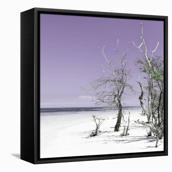 Cuba Fuerte Collection SQ - Plum Summer-Philippe Hugonnard-Framed Stretched Canvas