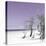 Cuba Fuerte Collection SQ - Plum Summer-Philippe Hugonnard-Stretched Canvas