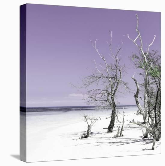 Cuba Fuerte Collection SQ - Plum Summer-Philippe Hugonnard-Stretched Canvas