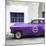 Cuba Fuerte Collection SQ - Purple Pontiac 1953 Original Classic Car-Philippe Hugonnard-Mounted Photographic Print