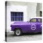 Cuba Fuerte Collection SQ - Purple Pontiac 1953 Original Classic Car-Philippe Hugonnard-Stretched Canvas