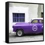 Cuba Fuerte Collection SQ - Purple Pontiac 1953 Original Classic Car-Philippe Hugonnard-Framed Stretched Canvas