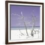 Cuba Fuerte Collection SQ - Purple Stillness-Philippe Hugonnard-Framed Photographic Print