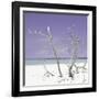 Cuba Fuerte Collection SQ - Purple Stillness-Philippe Hugonnard-Framed Photographic Print