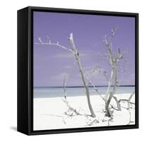 Cuba Fuerte Collection SQ - Purple Stillness-Philippe Hugonnard-Framed Stretched Canvas