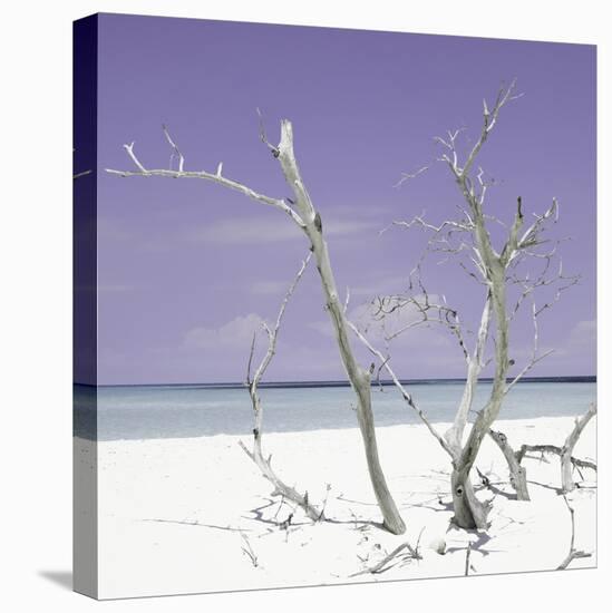 Cuba Fuerte Collection SQ - Purple Stillness-Philippe Hugonnard-Stretched Canvas