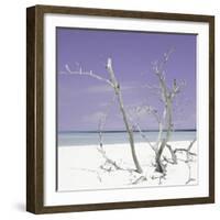 Cuba Fuerte Collection SQ - Purple Stillness-Philippe Hugonnard-Framed Photographic Print