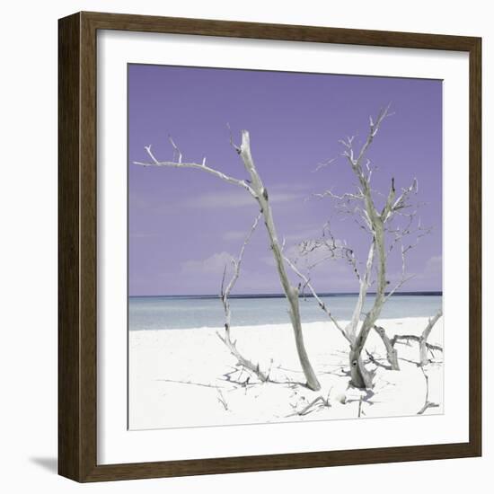 Cuba Fuerte Collection SQ - Purple Stillness-Philippe Hugonnard-Framed Photographic Print