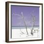 Cuba Fuerte Collection SQ - Purple Stillness-Philippe Hugonnard-Framed Photographic Print