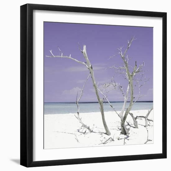 Cuba Fuerte Collection SQ - Purple Stillness-Philippe Hugonnard-Framed Photographic Print