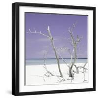 Cuba Fuerte Collection SQ - Purple Stillness-Philippe Hugonnard-Framed Photographic Print