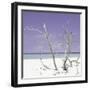 Cuba Fuerte Collection SQ - Purple Stillness-Philippe Hugonnard-Framed Photographic Print