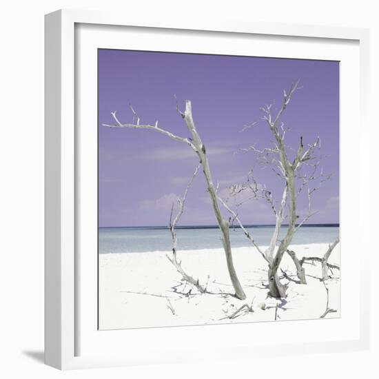 Cuba Fuerte Collection SQ - Purple Stillness-Philippe Hugonnard-Framed Photographic Print