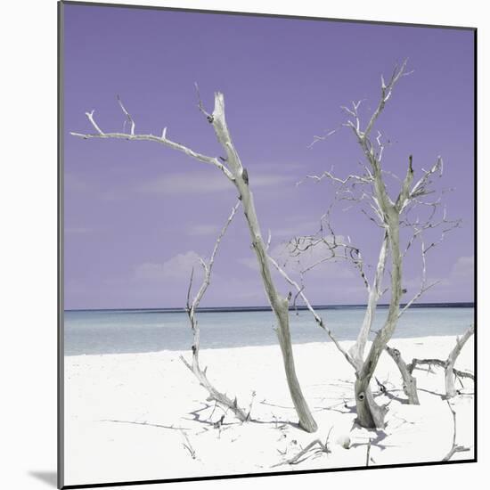 Cuba Fuerte Collection SQ - Purple Stillness-Philippe Hugonnard-Mounted Photographic Print