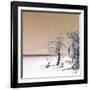 Cuba Fuerte Collection SQ - Salmon Summer-Philippe Hugonnard-Framed Photographic Print