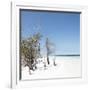 Cuba Fuerte Collection SQ - Sandy Beach Pastel Blue-Philippe Hugonnard-Framed Photographic Print