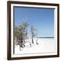 Cuba Fuerte Collection SQ - Sandy Beach Pastel Blue-Philippe Hugonnard-Framed Photographic Print