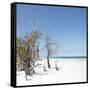 Cuba Fuerte Collection SQ - Sandy Beach Pastel Blue-Philippe Hugonnard-Framed Stretched Canvas