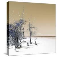 Cuba Fuerte Collection SQ - Sandy Beach Pastel Dark Yellow-Philippe Hugonnard-Stretched Canvas