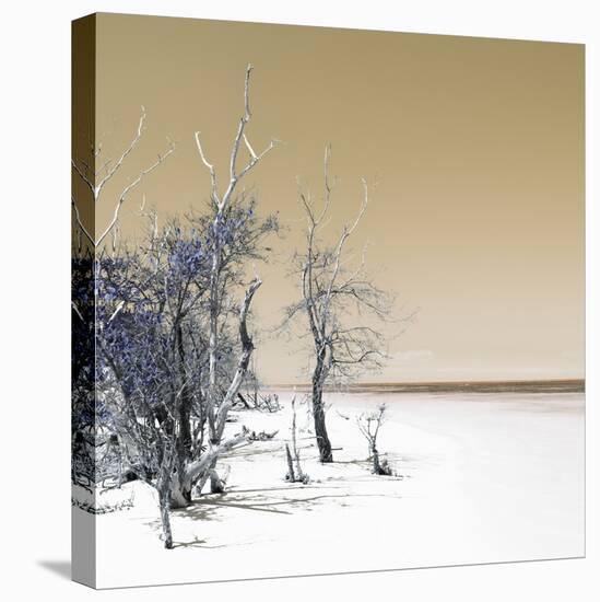 Cuba Fuerte Collection SQ - Sandy Beach Pastel Dark Yellow-Philippe Hugonnard-Stretched Canvas