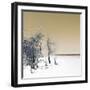 Cuba Fuerte Collection SQ - Sandy Beach Pastel Dark Yellow-Philippe Hugonnard-Framed Photographic Print