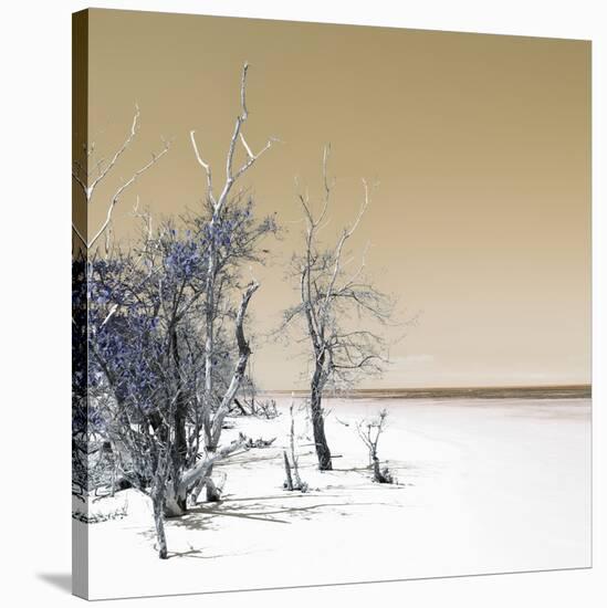 Cuba Fuerte Collection SQ - Sandy Beach Pastel Dark Yellow-Philippe Hugonnard-Stretched Canvas