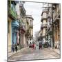 Cuba Fuerte Collection SQ - Street Scene Havana II-Philippe Hugonnard-Mounted Photographic Print