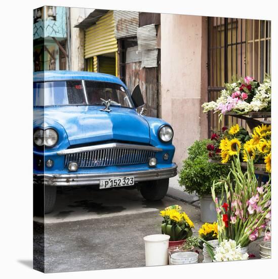 Cuba Fuerte Collection SQ - Sunflowers & Blue Car-Philippe Hugonnard-Stretched Canvas