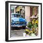 Cuba Fuerte Collection SQ - Sunflowers & Blue Car-Philippe Hugonnard-Framed Photographic Print