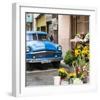 Cuba Fuerte Collection SQ - Sunflowers & Blue Car-Philippe Hugonnard-Framed Photographic Print