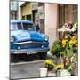 Cuba Fuerte Collection SQ - Sunflowers & Blue Car-Philippe Hugonnard-Mounted Photographic Print