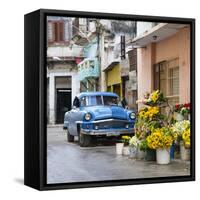 Cuba Fuerte Collection SQ - Sunflowers-Philippe Hugonnard-Framed Stretched Canvas