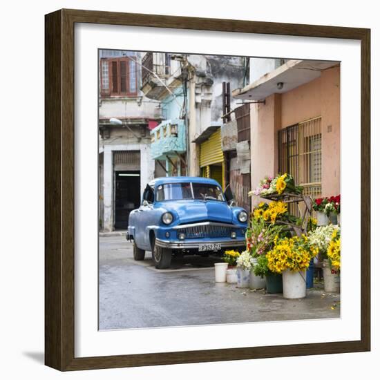 Cuba Fuerte Collection SQ - Sunflowers-Philippe Hugonnard-Framed Photographic Print