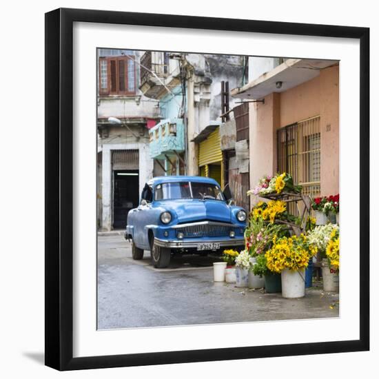 Cuba Fuerte Collection SQ - Sunflowers-Philippe Hugonnard-Framed Photographic Print